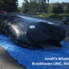 Jonah-Whale-Brookhaven-UMC-2016