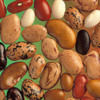 For art project - picture of various types of seed