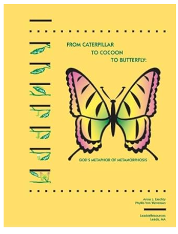 From Caterpillar to Cocoon to Butterfly: God's Metaphor of Metamorphisis