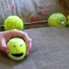 Tennis Ball Puppets