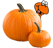 Pumpkin Wormy