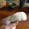 IMG_2295: wrap finger with roving