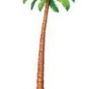 palmtree cutout