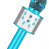 Rechargeable kids microphone