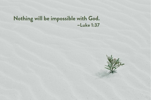 Nothing is Impossible with God