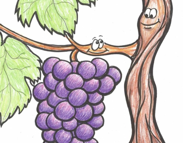 Cartoon shows a bunch of grapes (the branches) smiling at the vine
