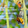 2 Corinthians 5 - New Creature in Christ