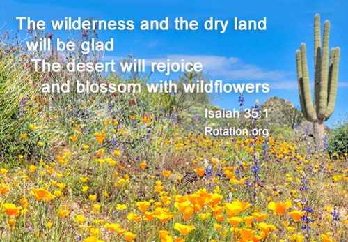 Isaiah 35:1 The wilderness and the dry land will be glad 