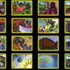 Noah and the Ark picture puzzles