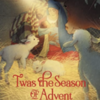 Twas-the-Season-of-Advent-by-Glenys-Nellist