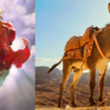 Donkey-Horse-Jesus