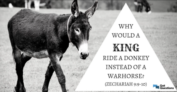 Why-Jesus-Rode-Donkey